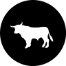 bull