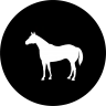 horse