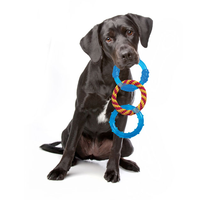 Іграшка Petstages Orka Dental Links Blue кільця для собак 10 см (арт pt239) original3