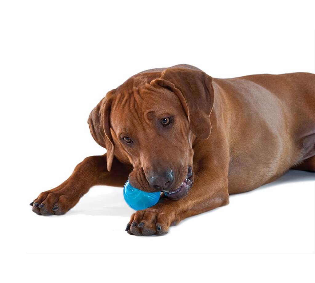 Іграшка Petstages Orka Tennis Ball м'яч для собак 6 см (арт pt235) original3