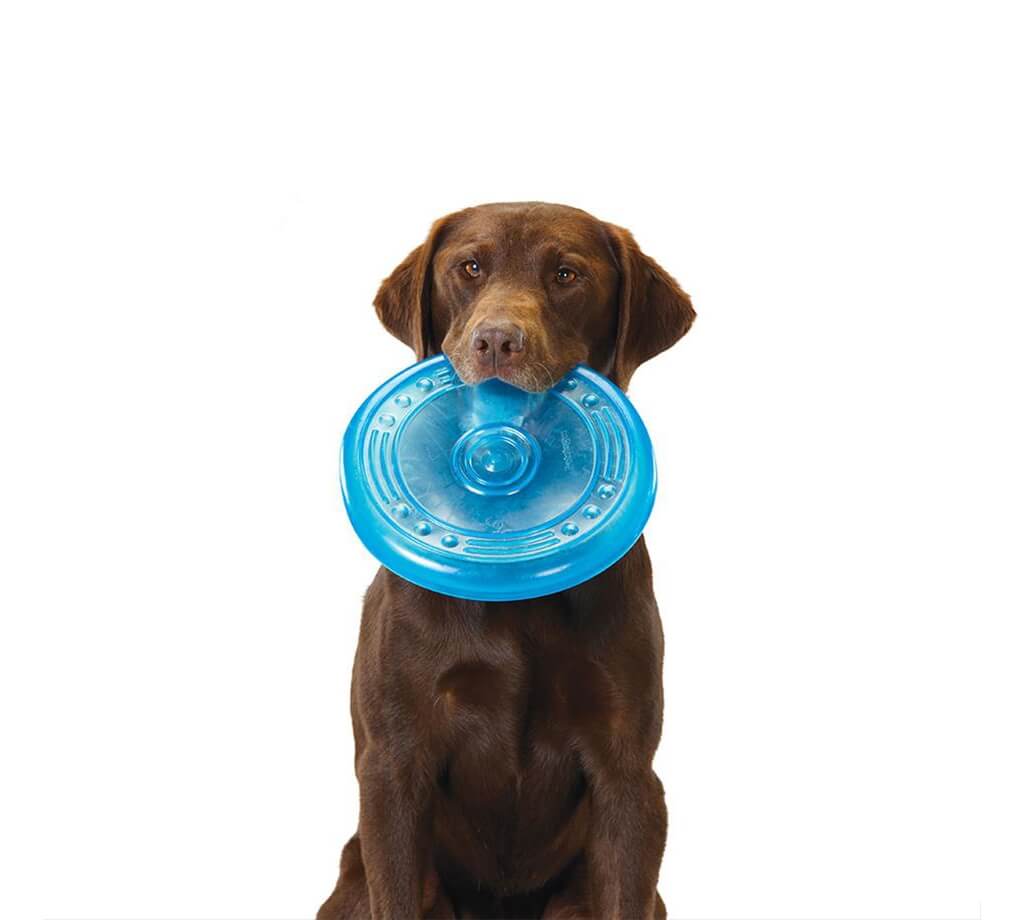 Іграшка Petstages Orka Flyer Pet фрісбі для собак 22.5 см (арт pt68498) original3