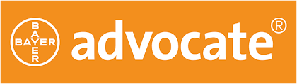 Advocate